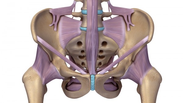 Anterior approach to the Hip