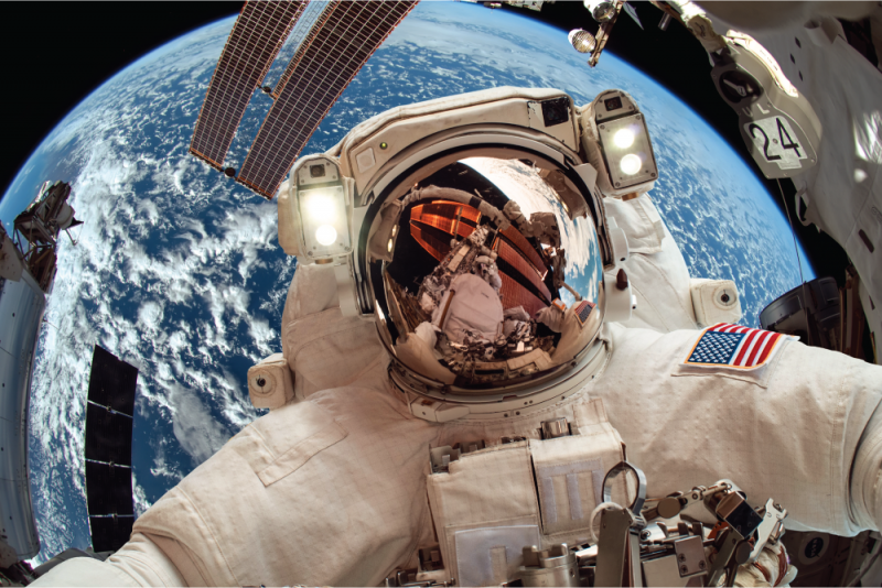 bones in space